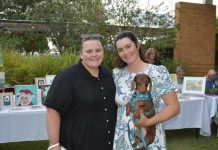 Alive with Christmas spirit