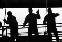 Walkout over saleyards