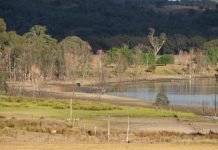 Saying a sad goodbye