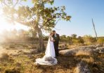 wtwedding_369427_02.jpg