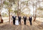 wtwedding_369427_03.jpg