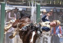 Retire 2023 with the NYE Rodeo