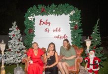 Bush Christmas cheer