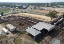 Clearing up misconceptions about saleyards