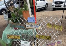 Farmers Market gets festive