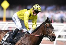 Divine Damian salutes