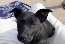 This ball of energy needs a home