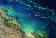 Courage in a reef rescue