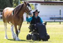 Year in Review: A shaky start to the year