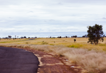 Rising Q Fever cases