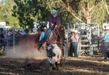 Breaking the dry spell with a catch