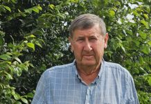 Five issues for Goodwin