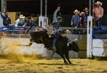 Rodeo ready at the Killarney Show