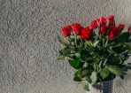 flowers_387374_01.jpg