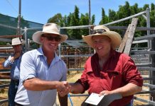 Calling the prime cattle