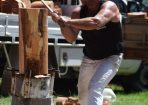 showwood_386239_01.JPG