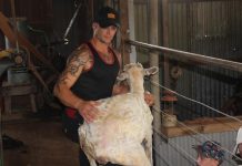 Excitement on horizon