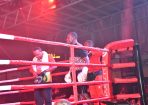 boxing_397172_05.JPG