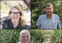 Mayoral candidates’ answers