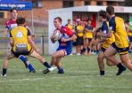 league_393394_01.jpg