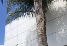 Meetings about meetings