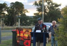 Poppies rested on graves of deceased Killarney veterans