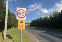 Data shows Warwick roads some of the worst in Qld for animal collisions