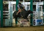 WckRodeo_326068_32.JPG