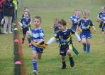 league_412946_02.JPG