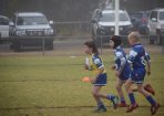 league_412946_04.JPG