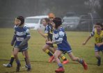 league_412946_05.JPG