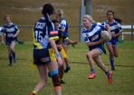 league_412946_07.JPG
