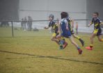 league_412946_08.JPG