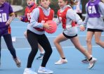 netball_412895_07.JPG