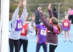 netball_412895_10.JPG