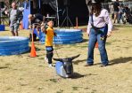 JJJwkend2_422097_10.JPG