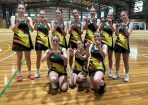 netball_416943_01.jpg