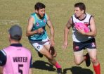 afl_423592_02.jpg