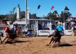 Kilarrodeo_254483_02.jpg