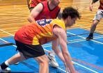 basketball_430752_02.jpg