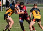 gatton_429556_01.jpg