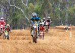 bikes_435045_04.jpg