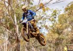 bikes_435045_05.jpg