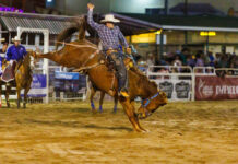 FEATURE: International stars saddle up