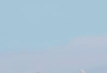 Anything but the subject