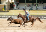 campdraft_511911_02