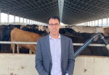 Australian farmer sentiment lifts