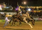 rodeo_513455_01