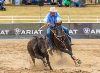 Rohan leaves his Mark on Gold Cup