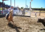 rodeo_513455_18